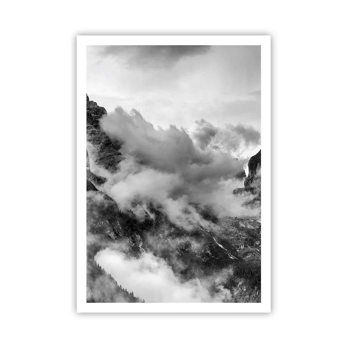 Poster - Schön und grausam - 70x100 cm