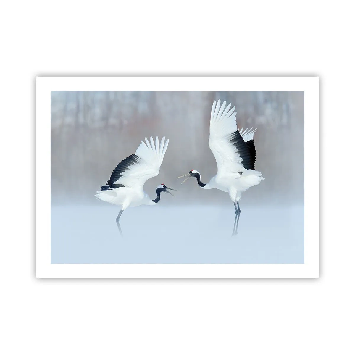 Poster - Tanz im Nebel - 70x50 cm