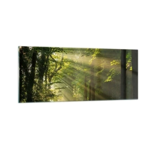 Glasbild - Bild auf glas - Waldmoment - 100x40 cm