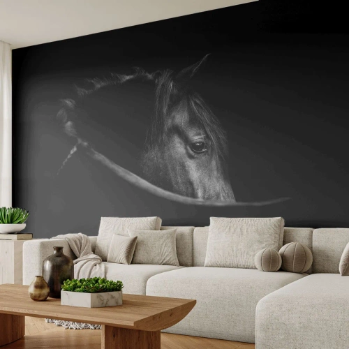 Fototapete Premium Canvas - Schwarzer Prinz - Pferd, Tier, Künstlerisch - 350x256 cm