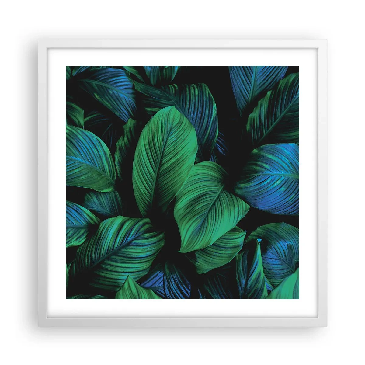Poster in einem weißen Rahmen - In der grünen Menge - 50x50 cm