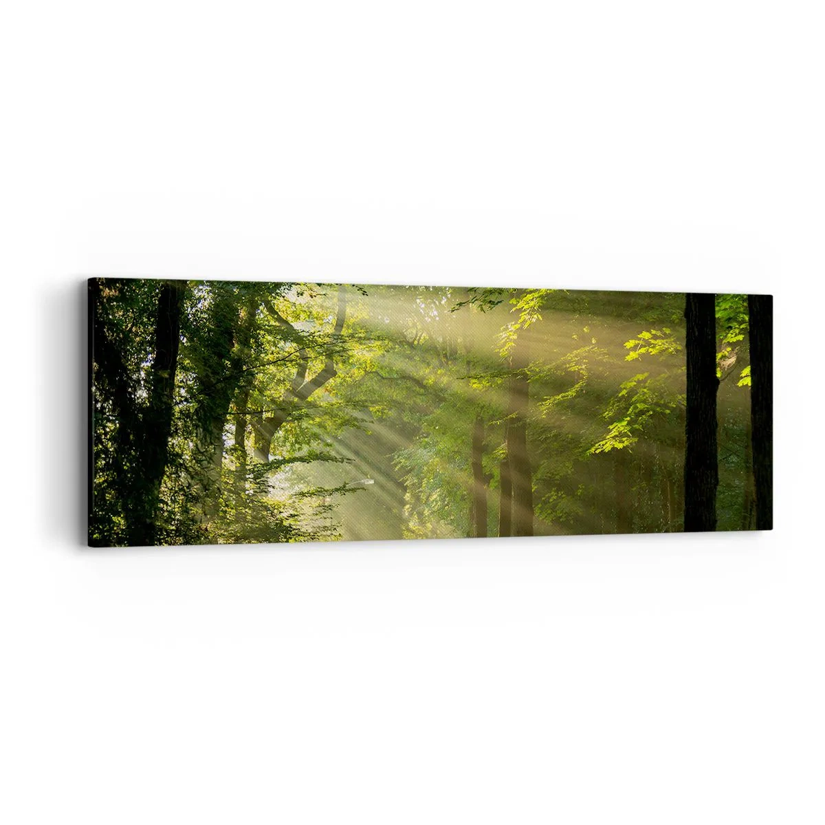 Bild auf Leinwand - Leinwandbild - Waldmoment - 90x30 cm