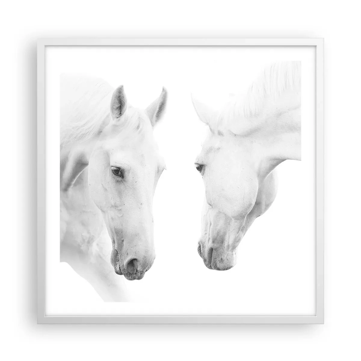 Poster in einem weißen Rahmen - Ist das Freundschaft...? - 60x60 cm