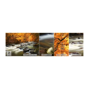 Fototapetenmuster Standard Eco - Ein Bach in einem goldenen Wald - Landschaft, Wald, Gebirgsbach - 100x30 cm