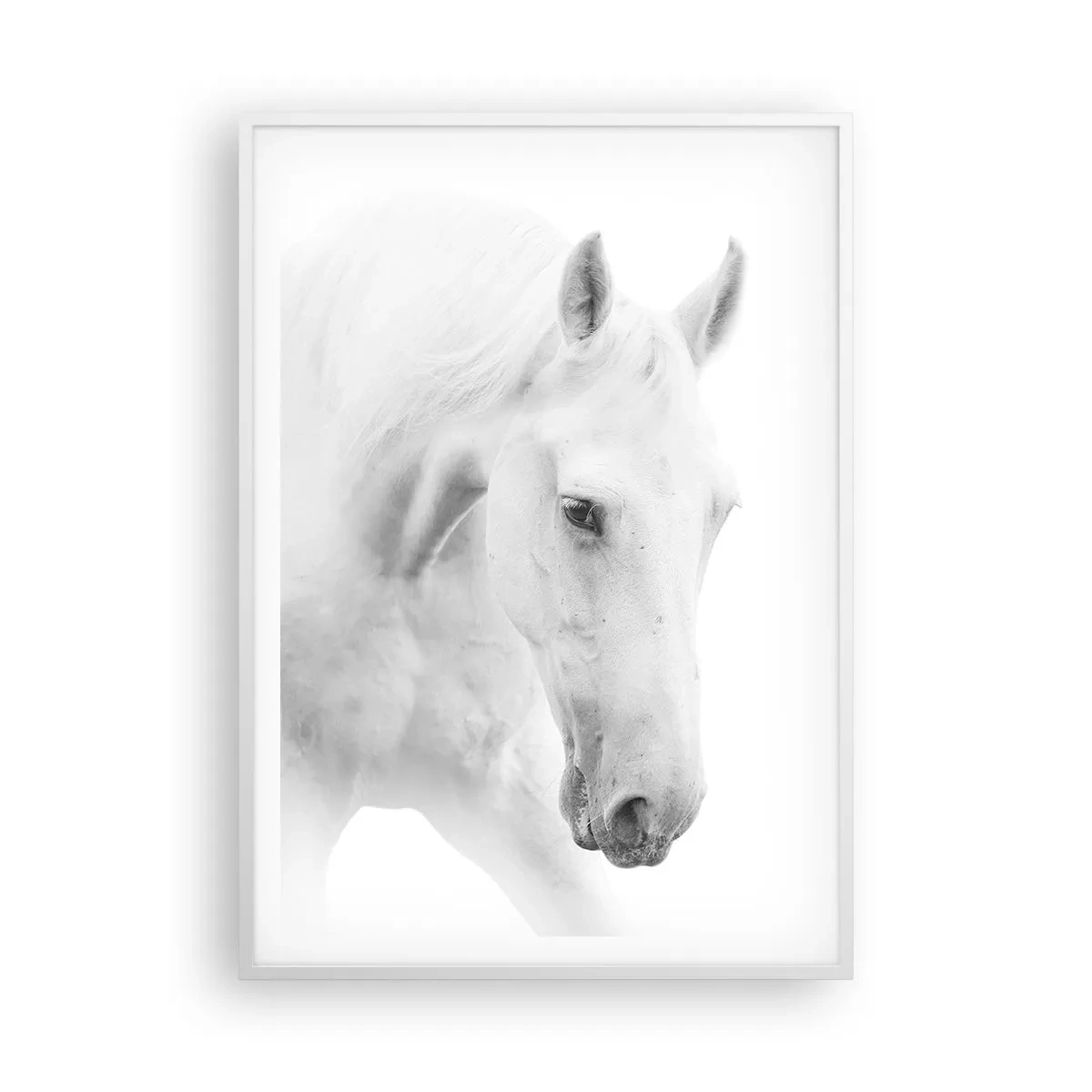 Poster in einem weißen Rahmen - Ist das Freundschaft...? - 70x100 cm