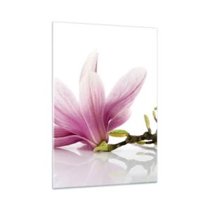 Glasbild - Bild auf glas - Zarte Magnolienblüten auf weißem Hintergrund - 50x70cm - Zart wie ein Frühlingswind - Moderne Wanddekoration für Wohnzimmer und Schlafzimmer ARTTOR