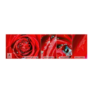 Fototapeten Muster Premium Sand - In den Tautropfen - Blumen, Rote Rose, Liebe - 100x30 cm