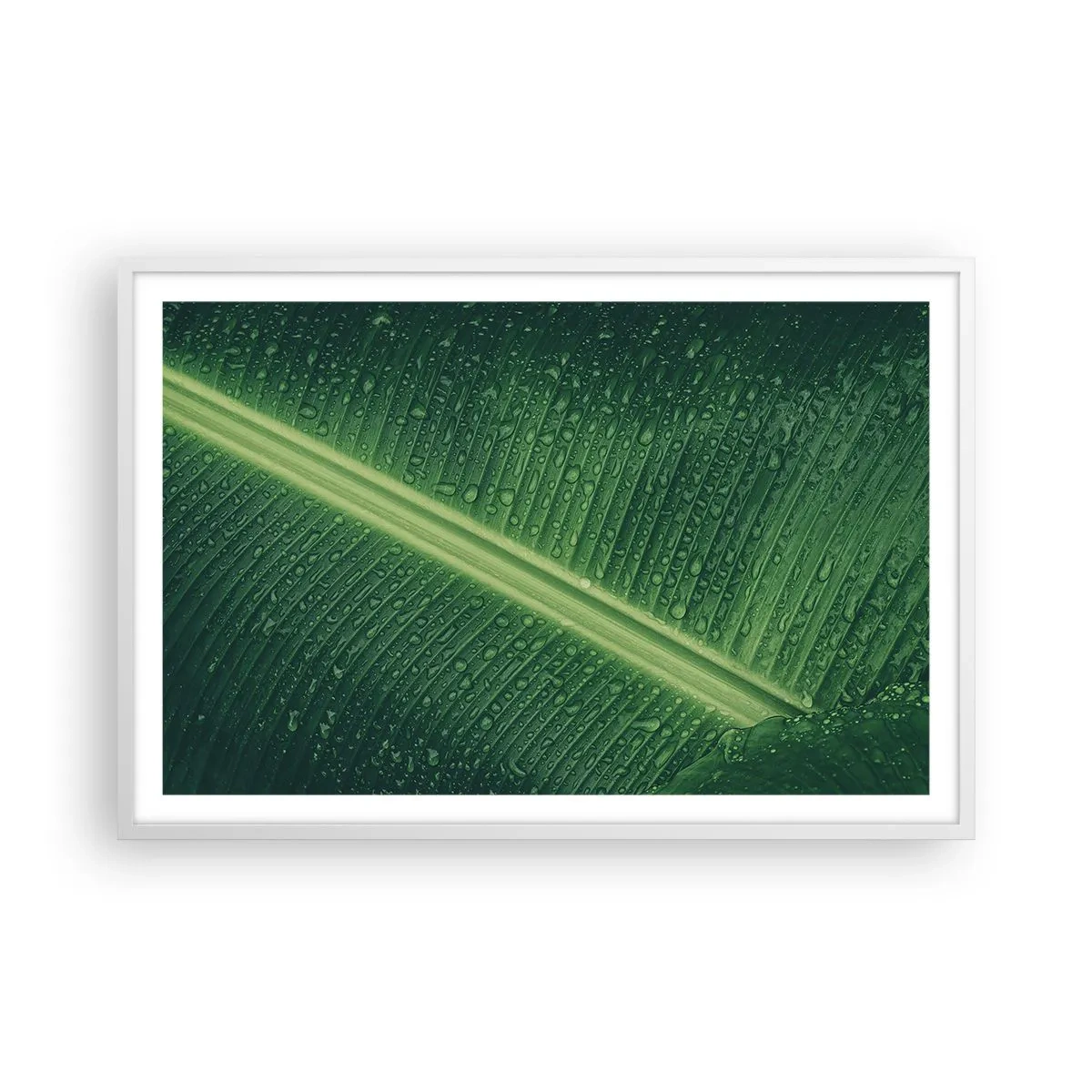 Poster in einem weißen Rahmen - Die Struktur des Grüns - 91x61 cm