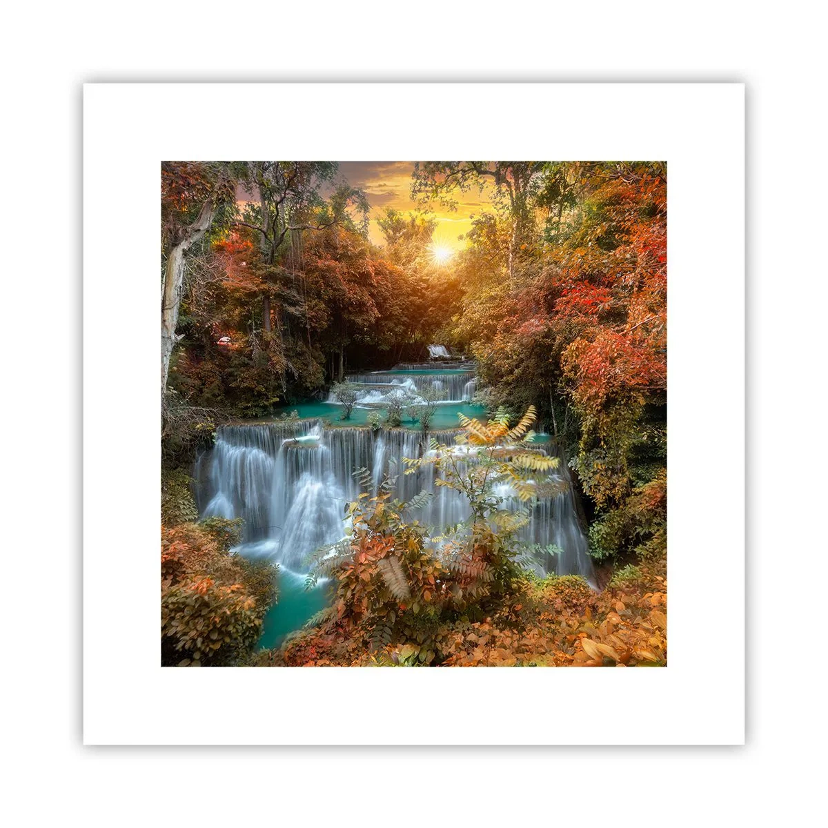 Poster - Versteckter Schatz des Waldes - 30x30 cm