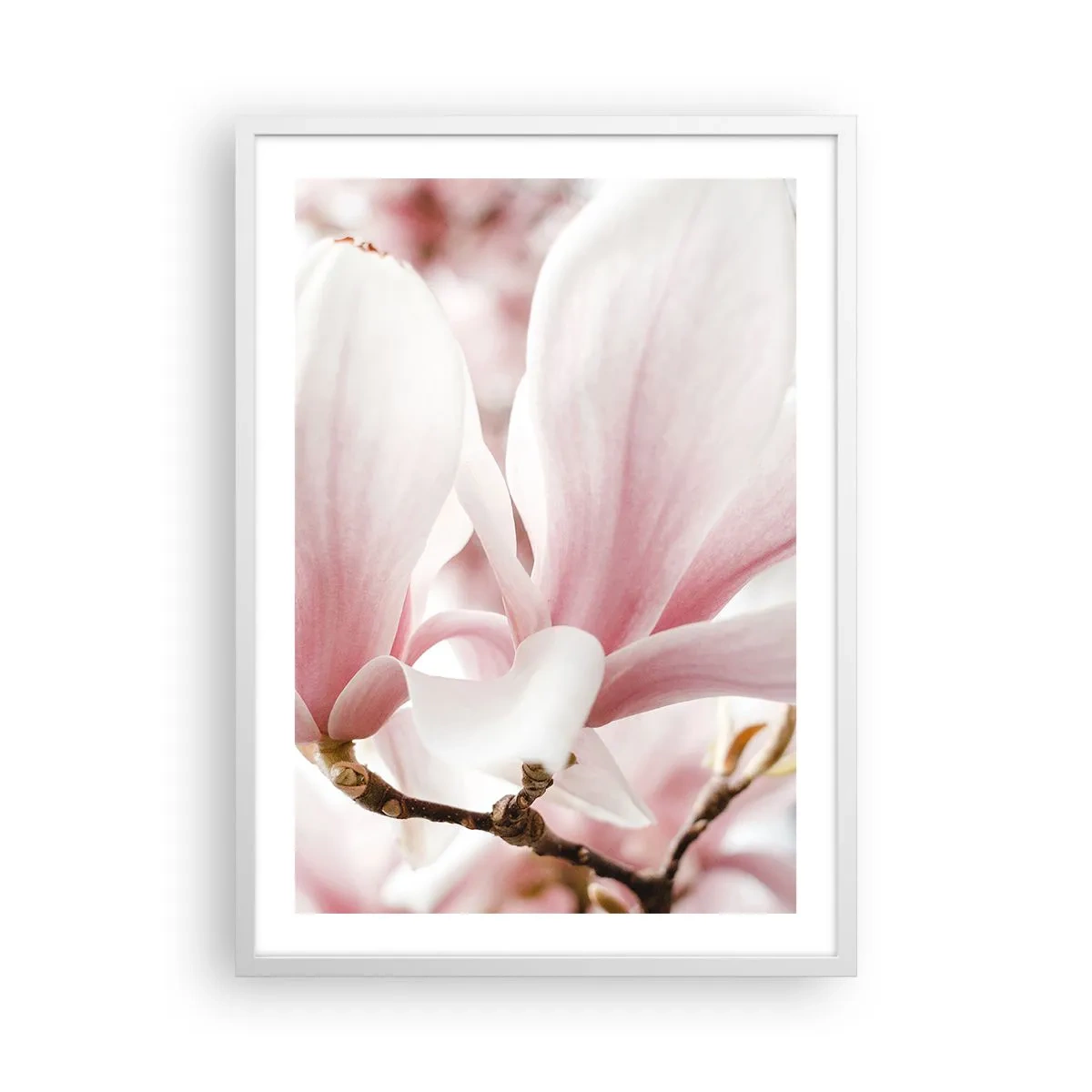 Poster in einem weißen Rahmen - Eine Fülle von Zärtlichkeit - 50x70 cm