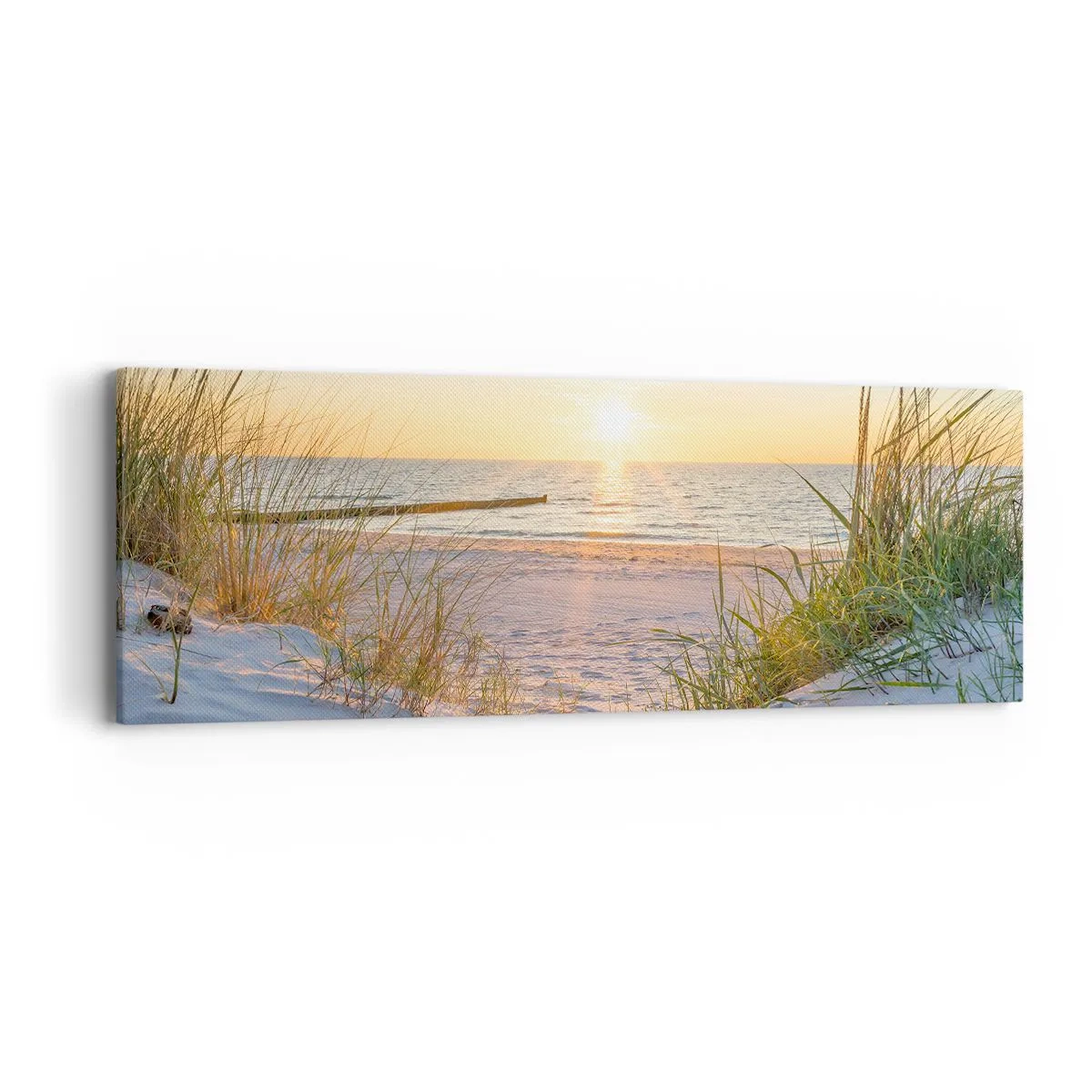 Bild auf Leinwand - Leinwandbild - Das Rauschen des Meeres, der Gesang der Vögel, ein wilder Strand im Gras ... - 90x30 cm