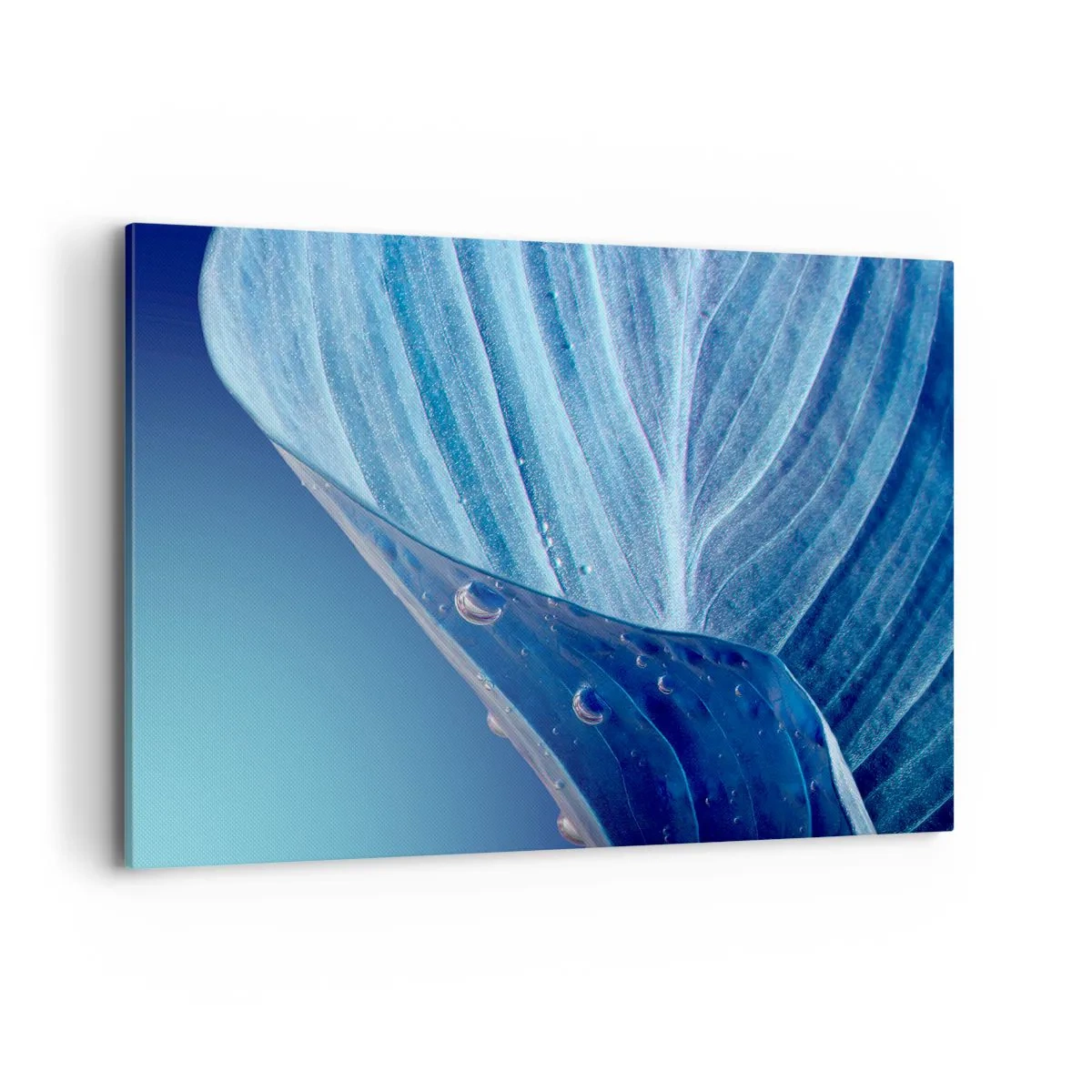 Bild auf Leinwand - Leinwandbild - Ein blaues Blatt mit sichtbaren Wassertropfen - 120x80cm - Versteckte Tropfen vom Blau - Moderne Wanddekoration für Wohnzimmer und Schlafzimmer ARTTOR