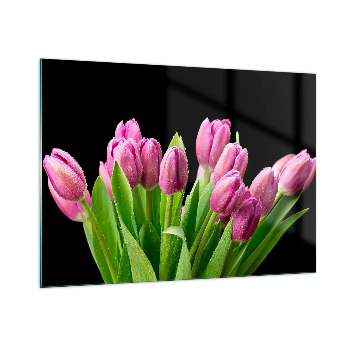 Glasbild - Bild auf glas - Ein Strauß rosa Tulpen, bedeckt mit Wassertropfen auf schwarzem Hintergrund. - 100x70cm - Lila Frühlingsfreude - Moderne Wanddekoration für Wohnzimmer und Schlafzimmer ARTTOR