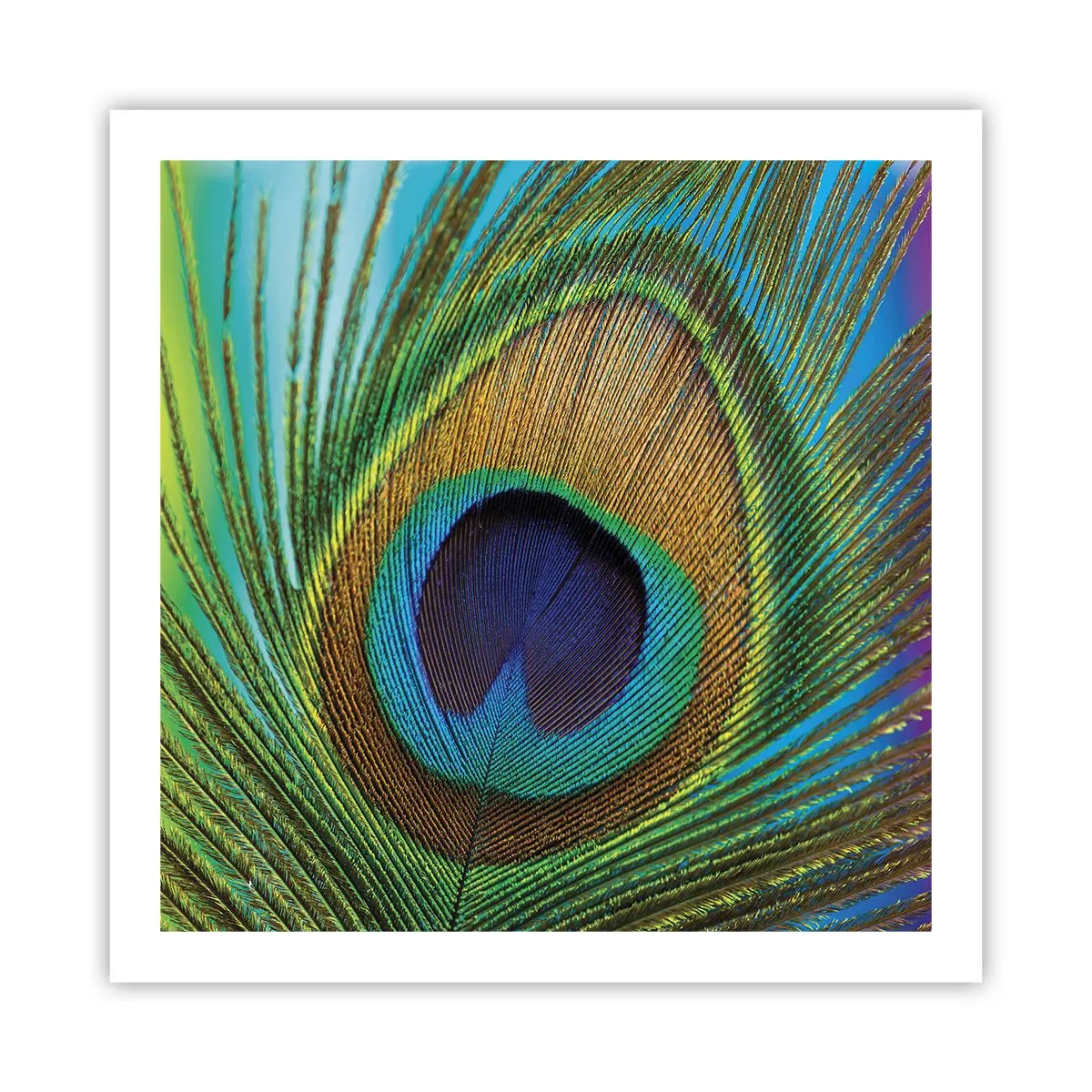 Poster - Auge in Auge - 60x60 cm