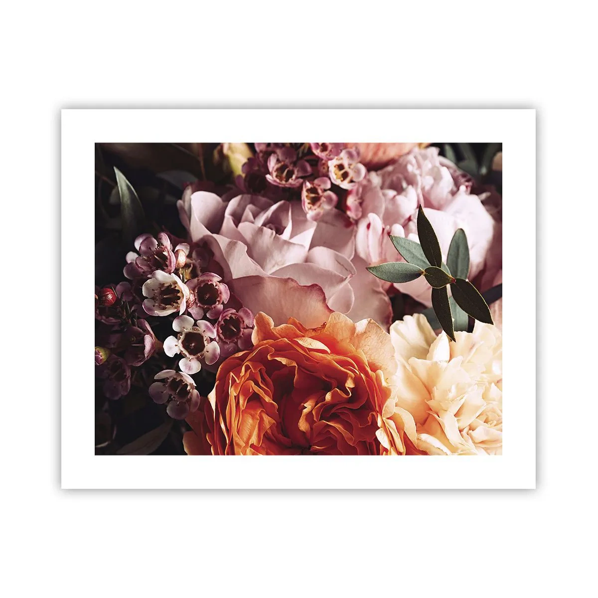 Poster - Eingehüllt in Schönheit - 50x40 cm