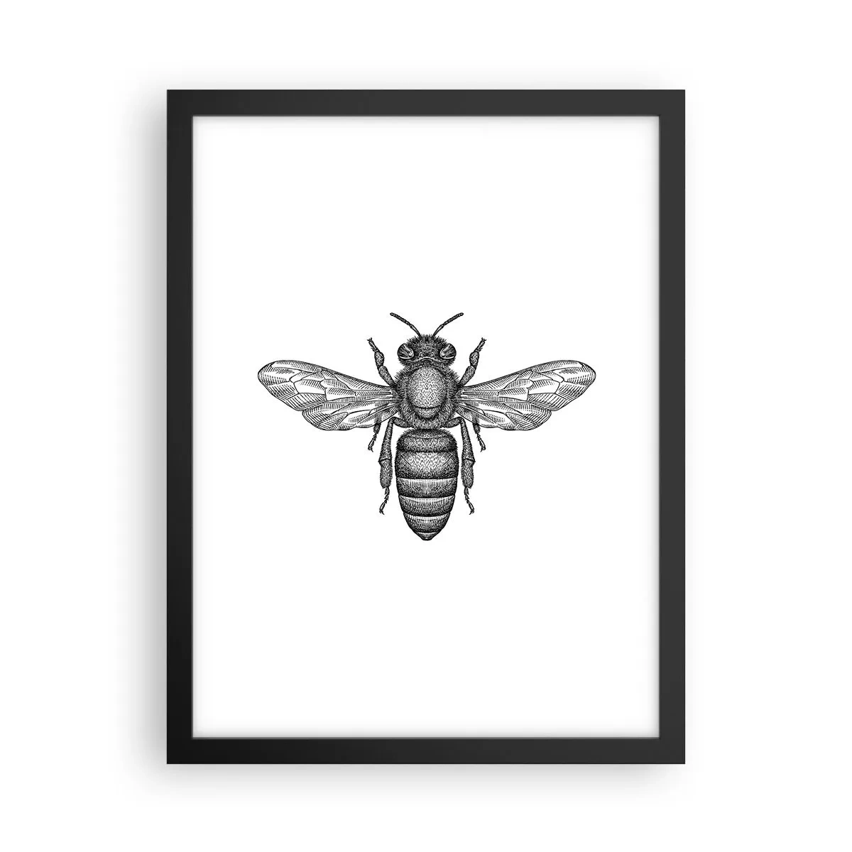 Poster in einem schwarzem Rahmen - Insektenporträt - 30x40 cm