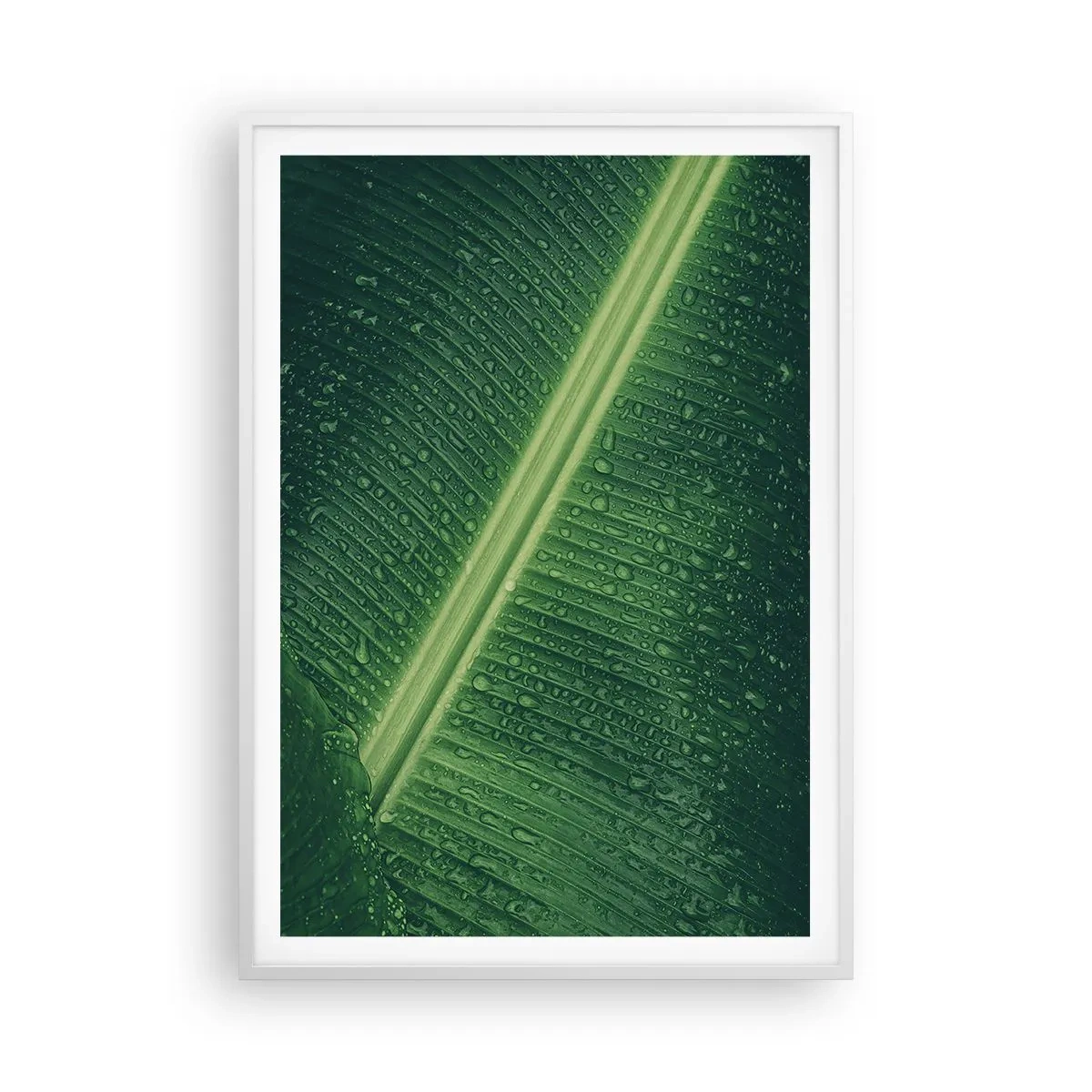 Poster in einem weißen Rahmen - Die Struktur des Grüns - 70x100 cm