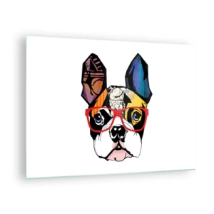 Glasbild - Bild auf glas - Bulldogge trägt bunte Brille auf weißem Hintergrund - 70x50cm - Intellektuelle - Moderne Wanddekoration für Wohnzimmer und Schlafzimmer ARTTOR