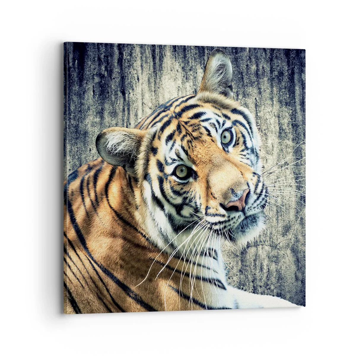 Bild auf Leinwand - Leinwandbild - Portrait in Lichtstrahlen - 70x70 cm