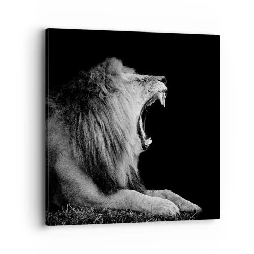 Bild auf Leinwand - Leinwandbild - Ohne Zweifel - 40x40 cm