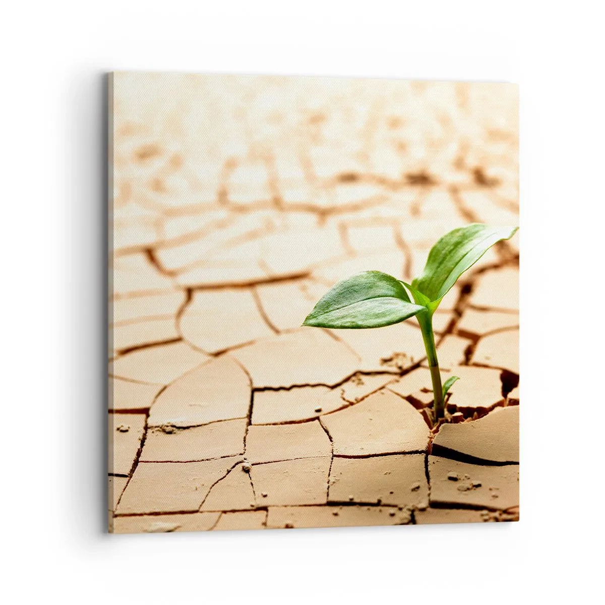 Bild auf Leinwand - Leinwandbild - Die unbezähmbare Kraft des Lebens - 70x70 cm