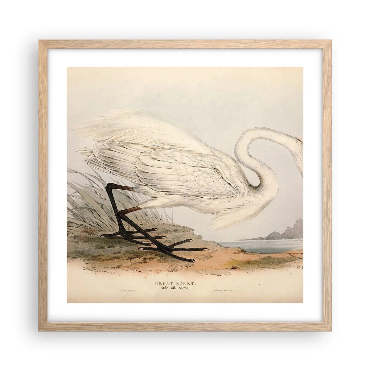 Poster in einem Rahmen aus heller Eiche - Dame auf den Binsen - 50x50 cm