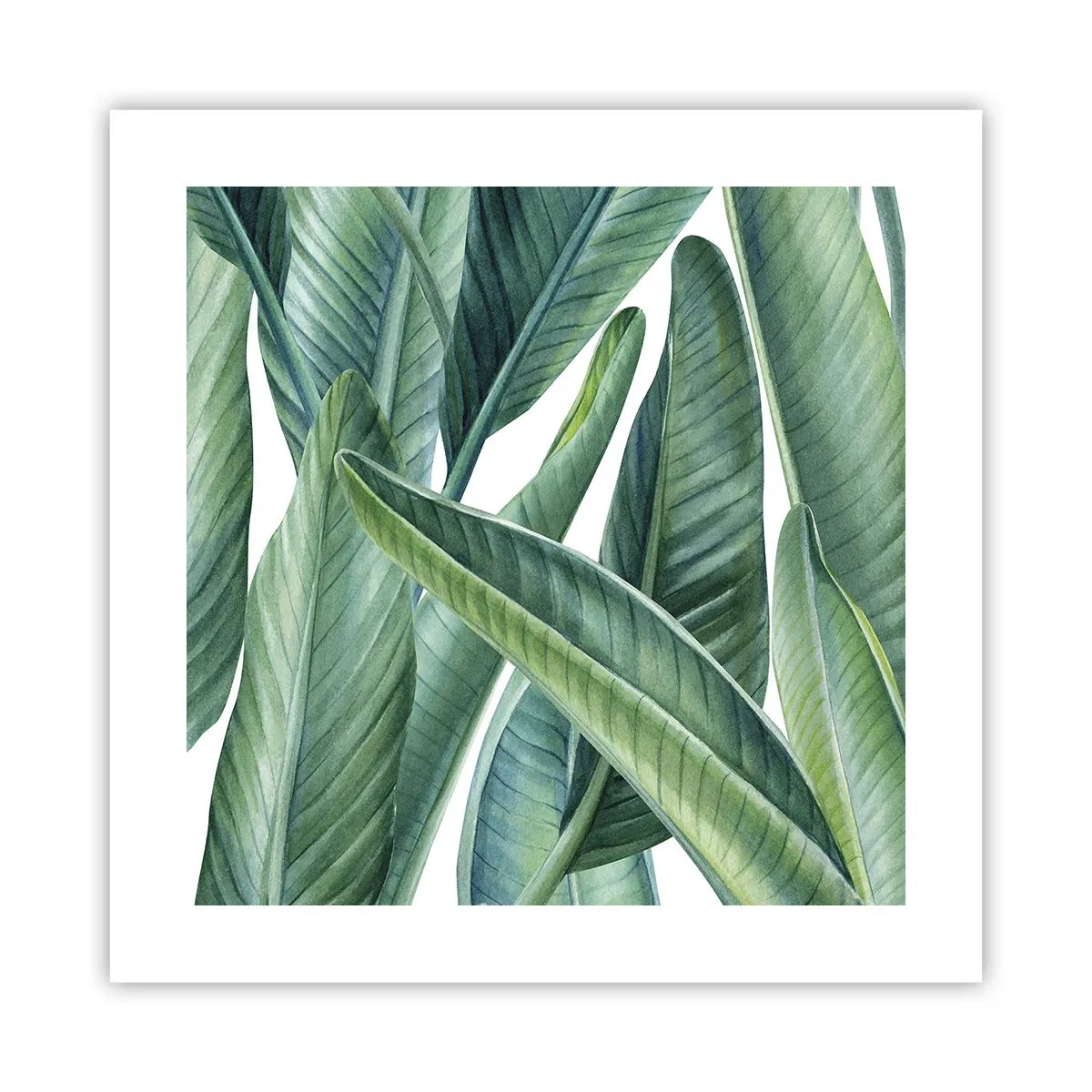 Poster - An und für sich Grün - 40x40 cm