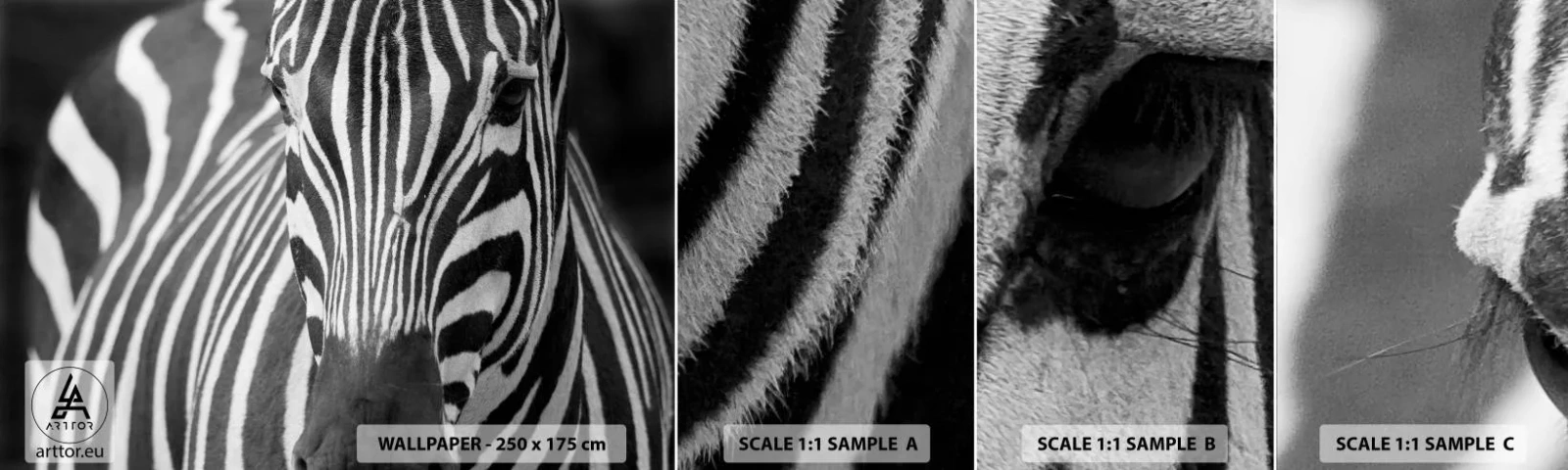 Fototapetenmuster Standard Eco - Die Welt ist schwarz und weiß - Tiere, Rippen, Schwarz und weiß - 100x30 cm