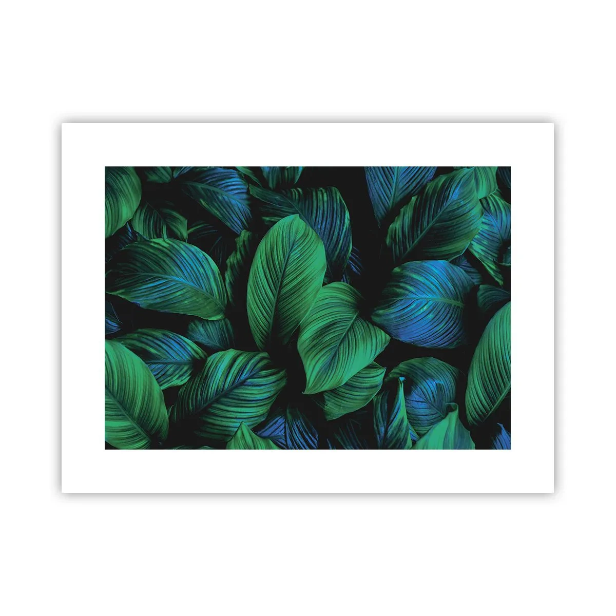 Poster - In der grünen Menge - 40x30 cm