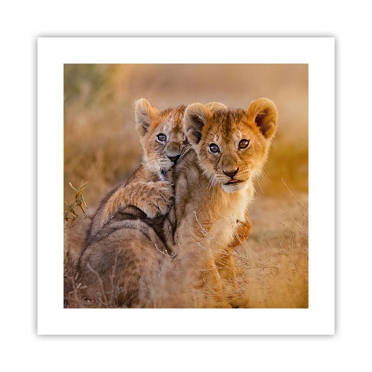 Poster - Bitte nicht stören! Wir haben Spaß - 40x40 cm