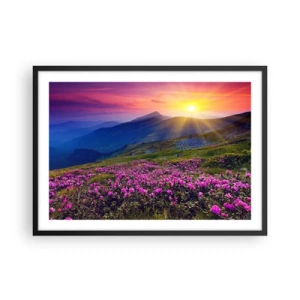 Poster in einem schwarzem Rahmen - Eine blühende Wiese mit Blick auf die Berge bei Sonnenuntergang - 70x50cm - … Und drumherum duftet es nach Latschenkiefer und dem Duft von Kräutern - Moderne Wanddekoration für Wohnzimmer und Schlafzimmer ARTTOR