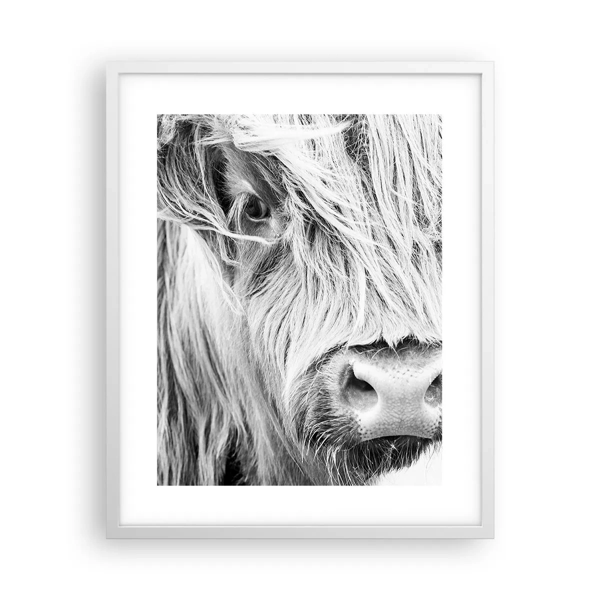 Poster in einem weißen Rahmen - Schottische Wildheit - 40x50 cm