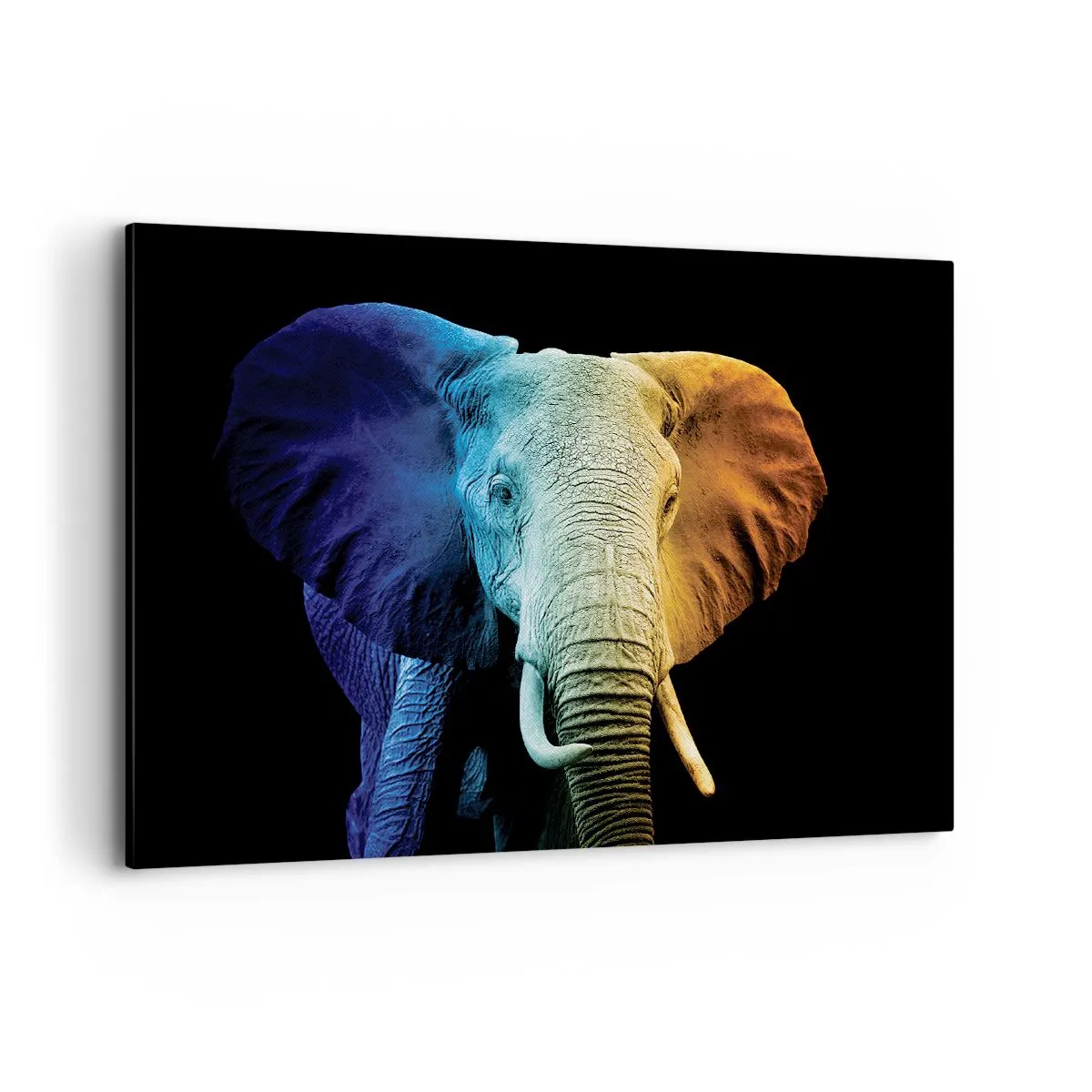 Bild auf Leinwand - Leinwandbild - Elefantenporträt in Regenbogenfarben - 100x70cm - Exzentrisch, kein Verrückter - Moderne Wanddekoration für Wohnzimmer und Schlafzimmer ARTTOR