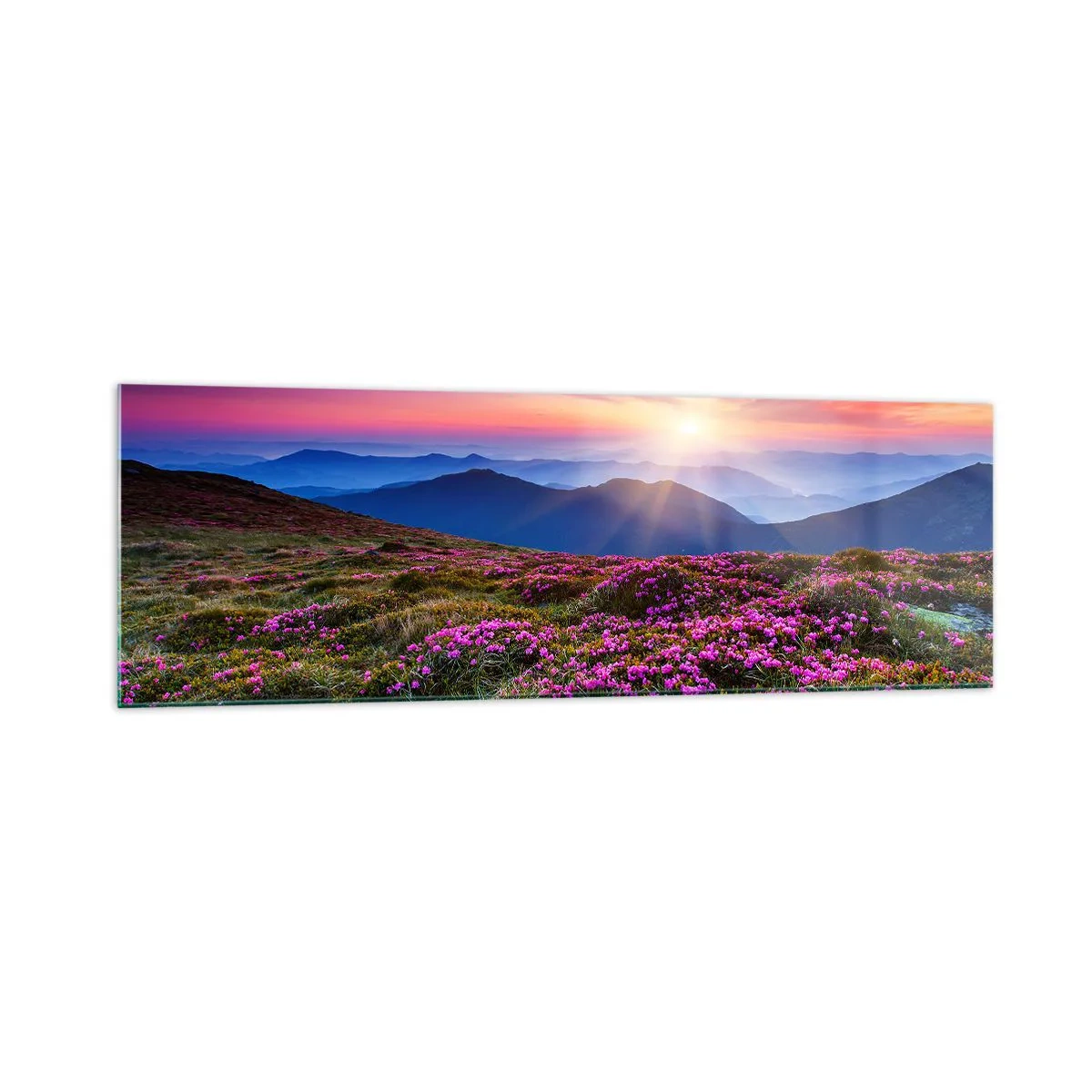 Glasbild - Bild auf glas - Bergwiese mit Blumen bei Sonnenuntergang - 160x50cm - Kräuter dufteten nach frischen Trauben von den Feldern - Moderne Wanddekoration für Wohnzimmer und Schlafzimmer ARTTOR