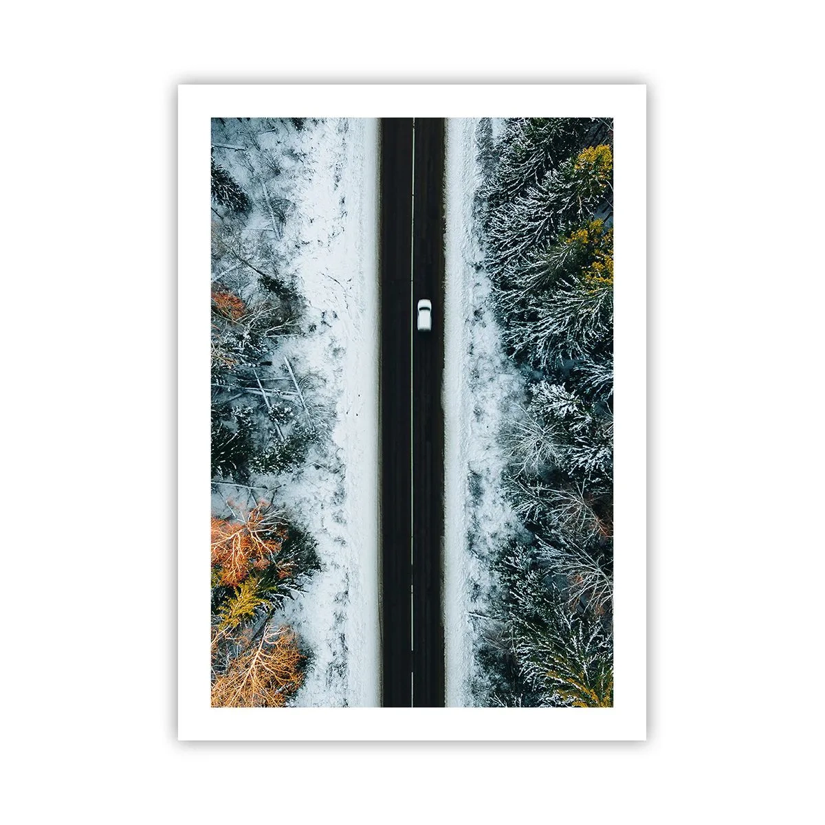Poster - Eine Vogelperspektive auf einen Winterwald mit einer Straße und einem einzelnen Auto - 50x70cm - Schnitt durch den Winterwald - Moderne Wanddekoration für Wohnzimmer und Schlafzimmer ARTTOR