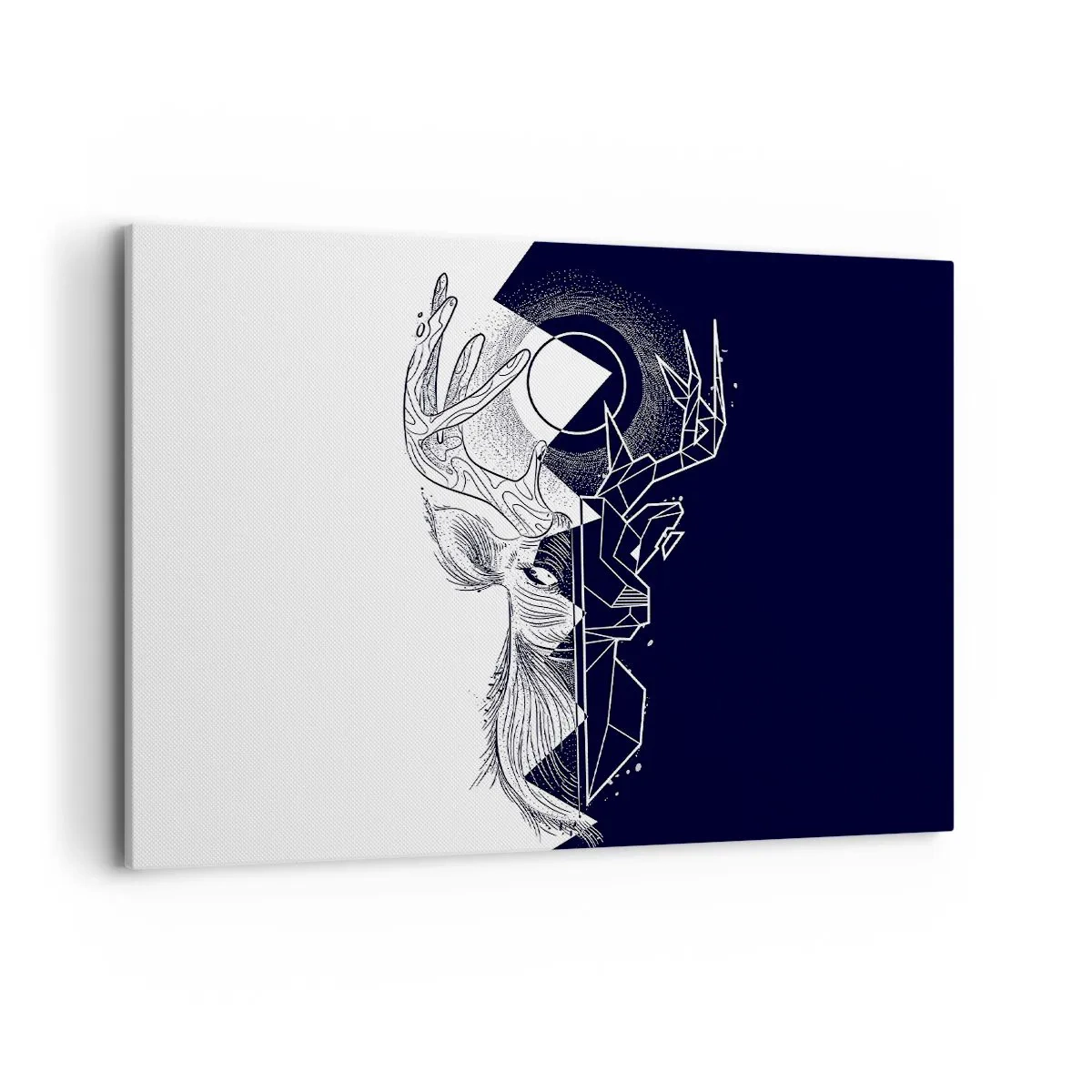 Bild auf Leinwand - Leinwandbild - Geometrie und Natur in einer symbolischen Komposition - 100x70cm - Der Kampf und die Einheit der Gegensätze - Moderne Wanddekoration für Wohnzimmer und Schlafzimmer ARTTOR