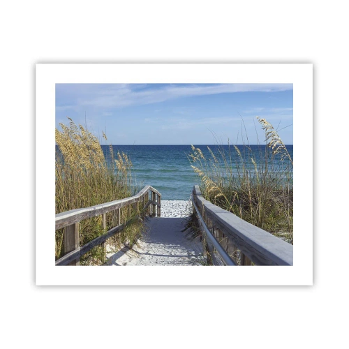 Poster - In der Sonne, im Wind - 50x40 cm