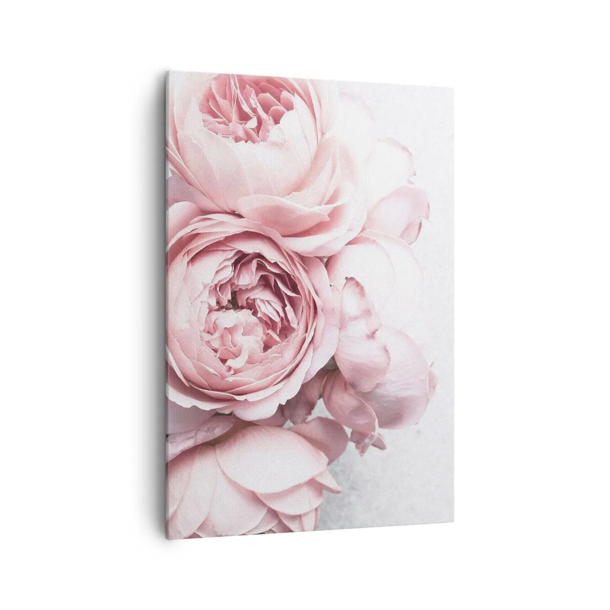 Bild auf Leinwand - Leinwandbild - Rosa Pfingstrosen in sanftem Licht vor hellem Hintergrund - 70x100cm - Für Romantiker - Moderne Wanddekoration für Wohnzimmer und Schlafzimmer ARTTOR