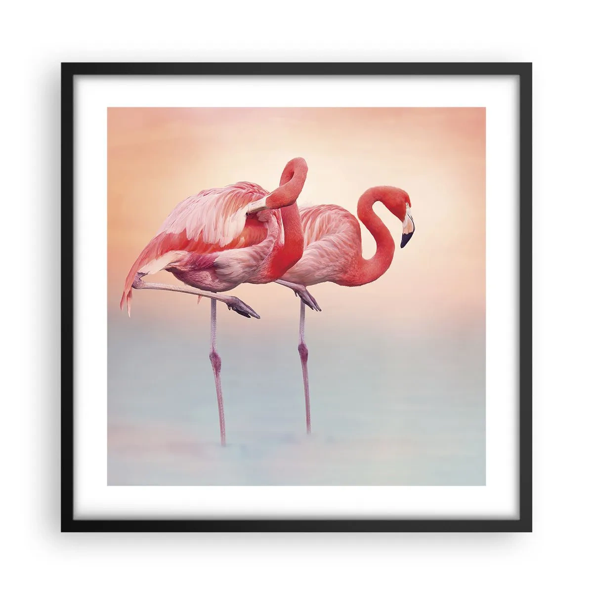 Poster in einem schwarzem Rahmen - Die Farbe der untergehenden Sonne - 50x50 cm