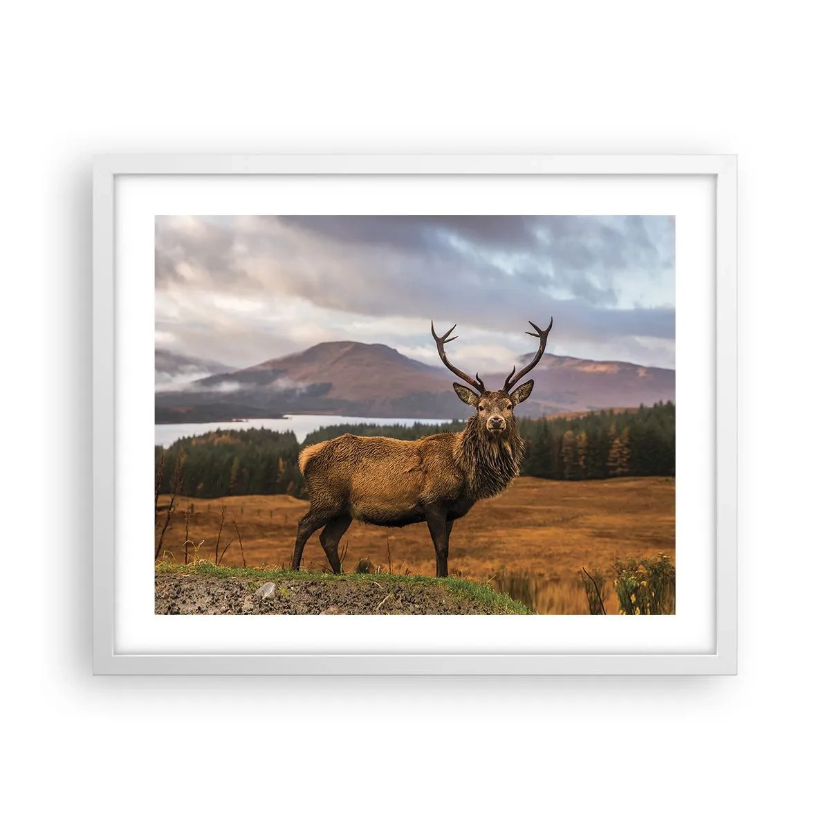 Poster in einem weißen Rahmen - Die Majestät der Natur - 50x40 cm