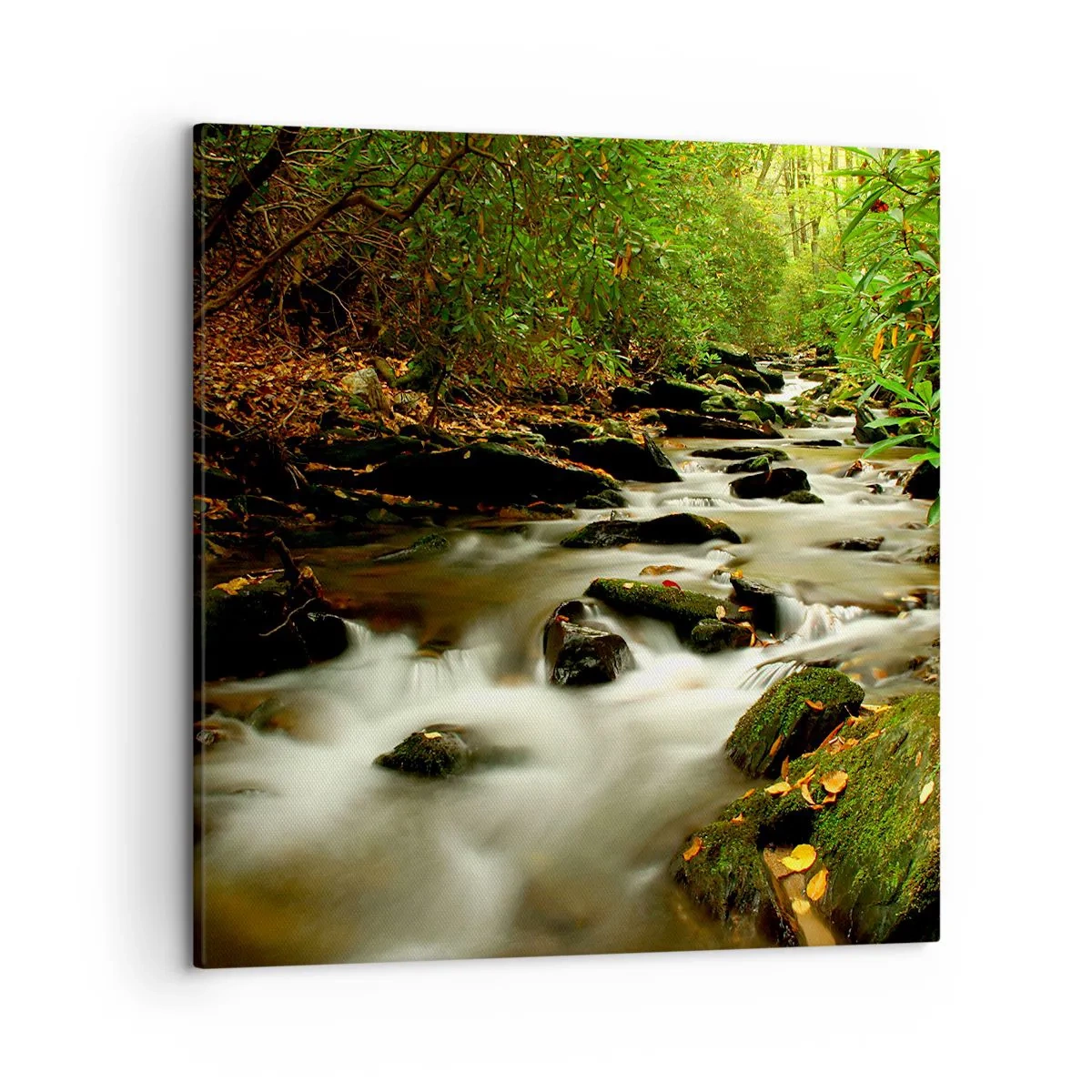 Bild auf Leinwand - Leinwandbild - Wie flüssiges Silber - 50x50 cm