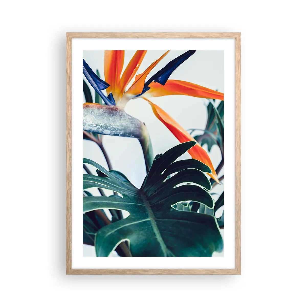 Poster in einem Rahmen aus heller Eiche - Vogelbusch - 50x70 cm