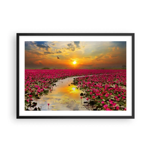 Poster in einem schwarzem Rahmen - Ein Feld mit rosa Seerosen bei Sonnenuntergang - 70x50cm - Das geheime Leben des Sees - Moderne Wanddekoration für Wohnzimmer und Schlafzimmer ARTTOR