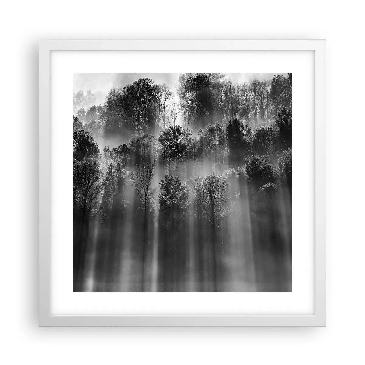 Poster in einem weißen Rahmen - In Lichtstrahlen - 40x40 cm