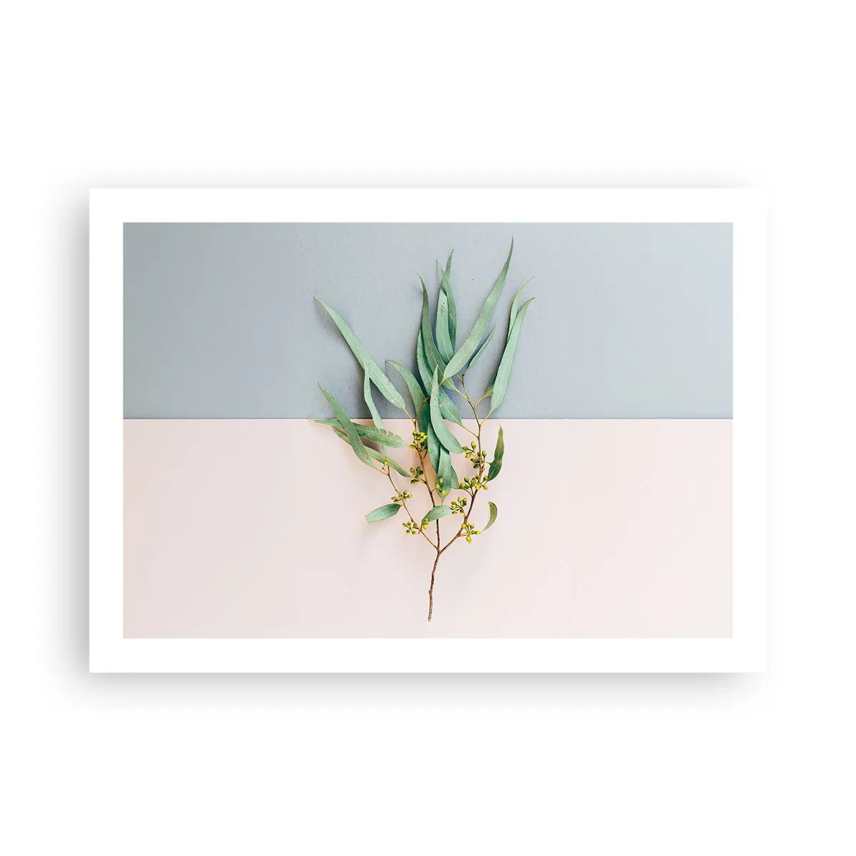 Poster - Pastellige Subtilität - 70x50 cm