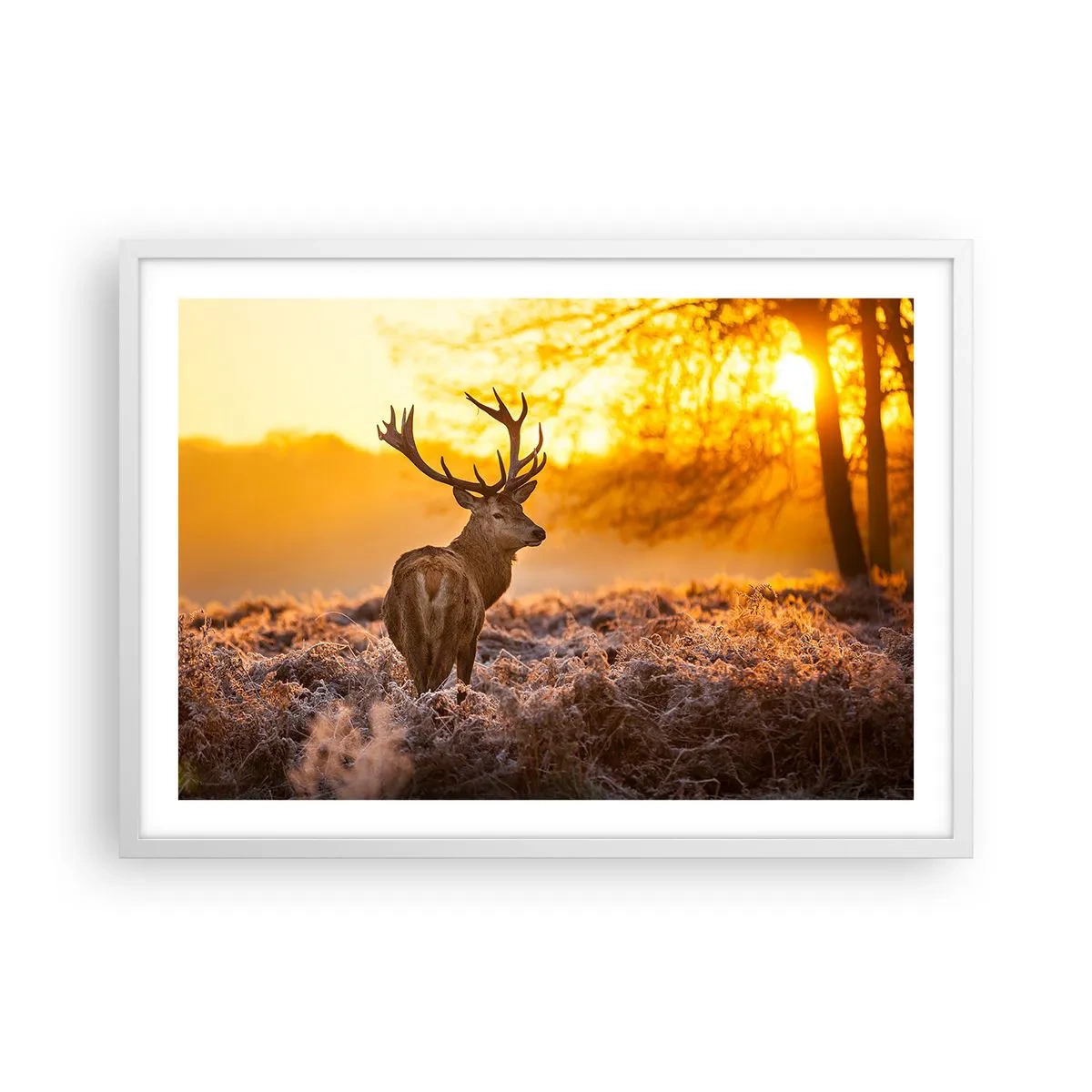 Poster in einem weißen Rahmen - König des Herbstwaldes - 70x50 cm