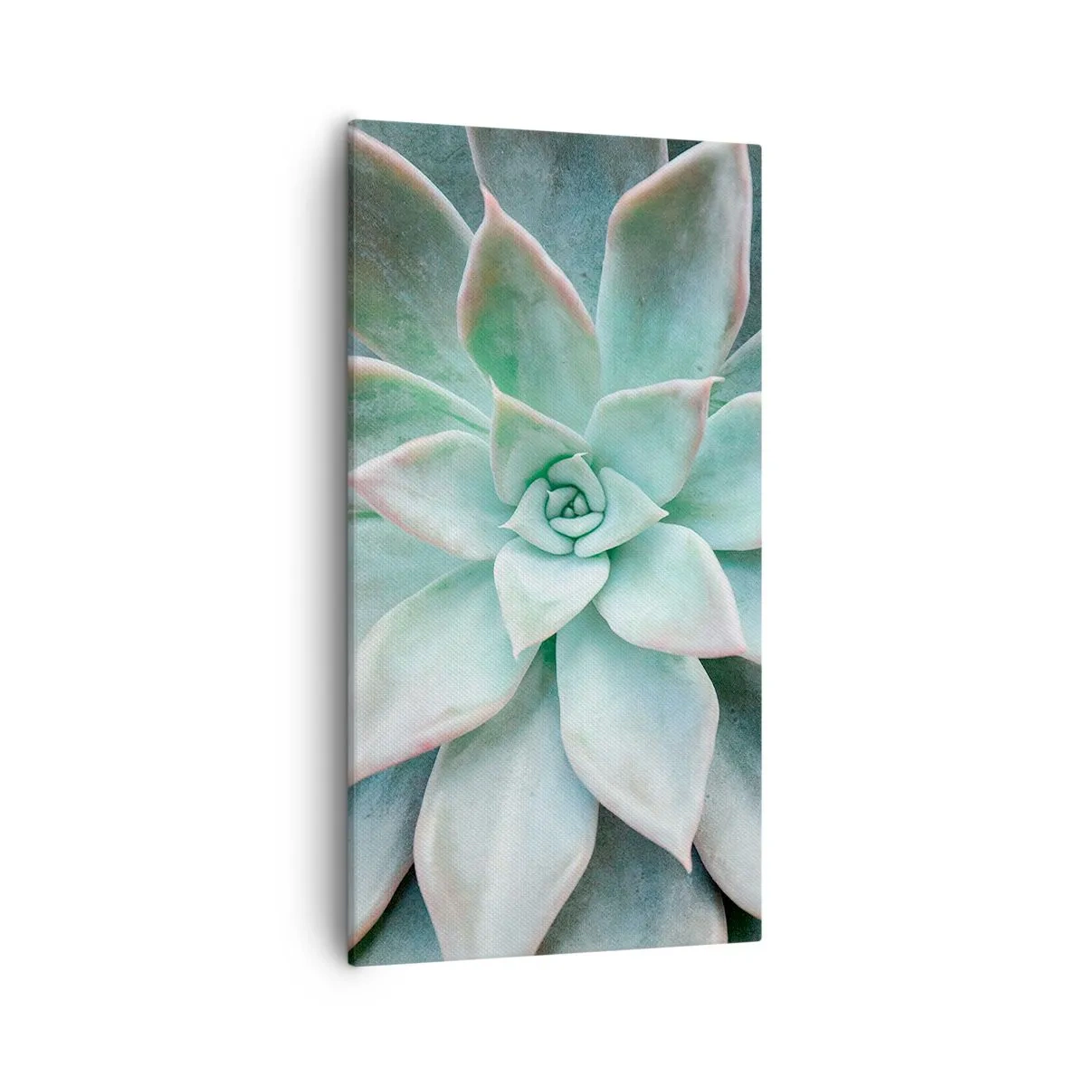 Bild auf Leinwand - Leinwandbild - Das Herz der Wüste - 55x100 cm