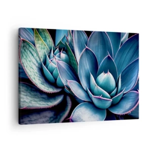 Bild auf Leinwand - Leinwandbild - Agave in Blau- und Grüntönen mit rosa Akzenten - 70x50cm - Lebenskraft - Moderne Wanddekoration für Wohnzimmer und Schlafzimmer ARTTOR