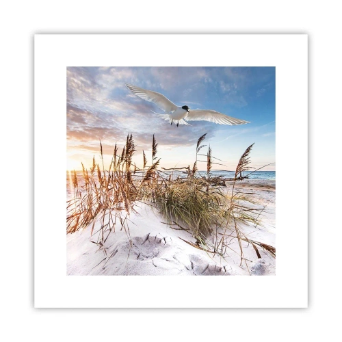 Poster - Wind vom Meer - 30x30 cm