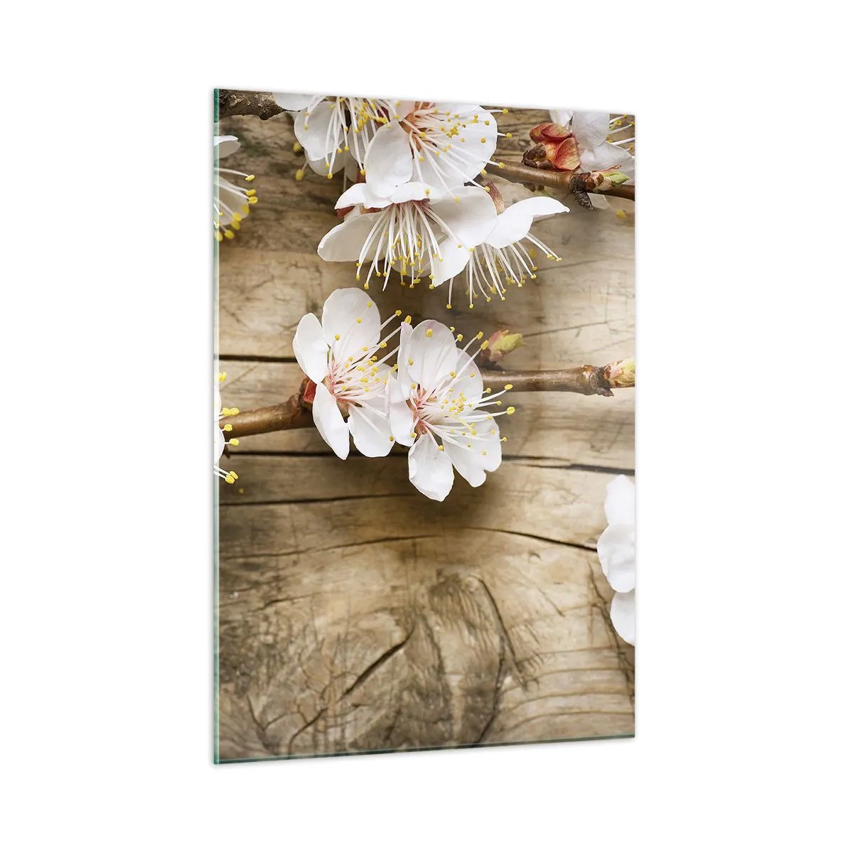 Glasbild - Bild auf glas - Zweige blühender Kirschbäume auf einem hölzernen Hintergrund - 50x70cm - Und es war Frühling - Moderne Wanddekoration für Wohnzimmer und Schlafzimmer ARTTOR